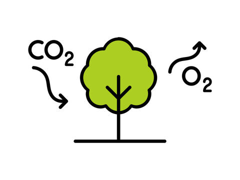 Ένα λίτρο ελαιόλαδο μειώνει περισσότερα από 10kg CO2 από την ατμόσφαιρα